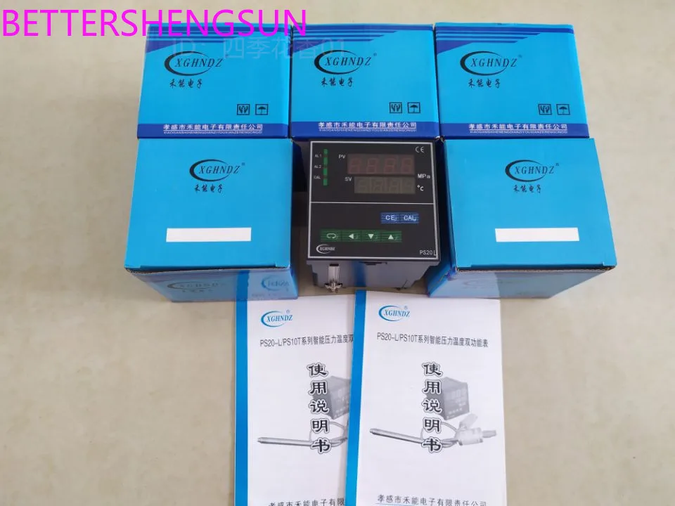 Ps20l-50MPa High Temperature Melt Double Temperature Measuring Pressure Device Double Display Instrument