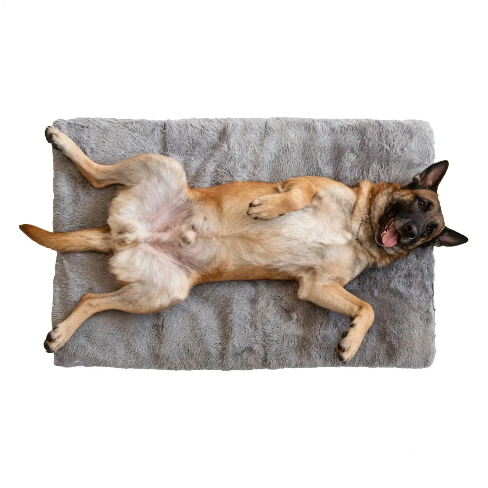 

Большая нечеткая кровать для собаки, удобный большой противоскользящий коврик для домашних животных, нечеткий спальный коврик для домашних животных, квартиры в общежитии, спальни, гостиной