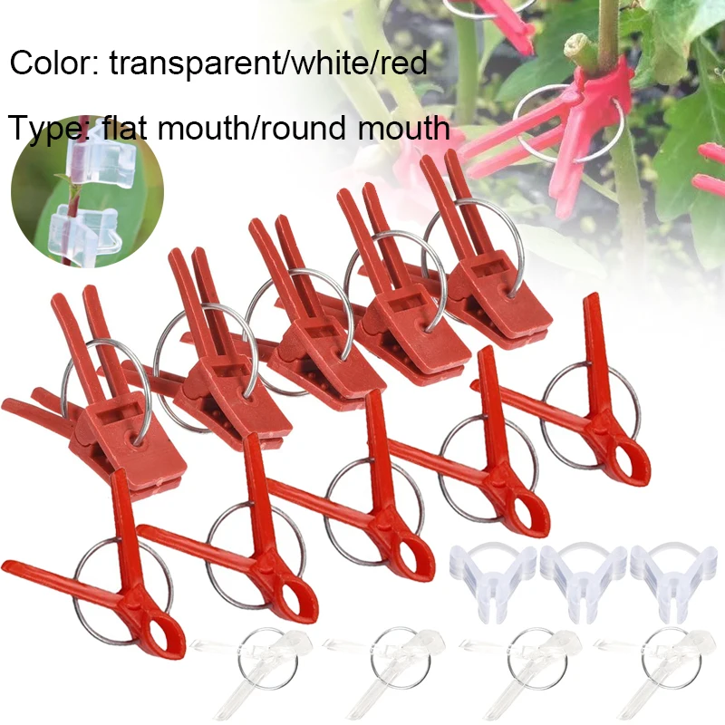 25-200Pcs Plant Grafting Clip Plastic Plants Graft Clips For Cucumber Eggplant Watermelon Anti-fall Clamp Gardening Tool