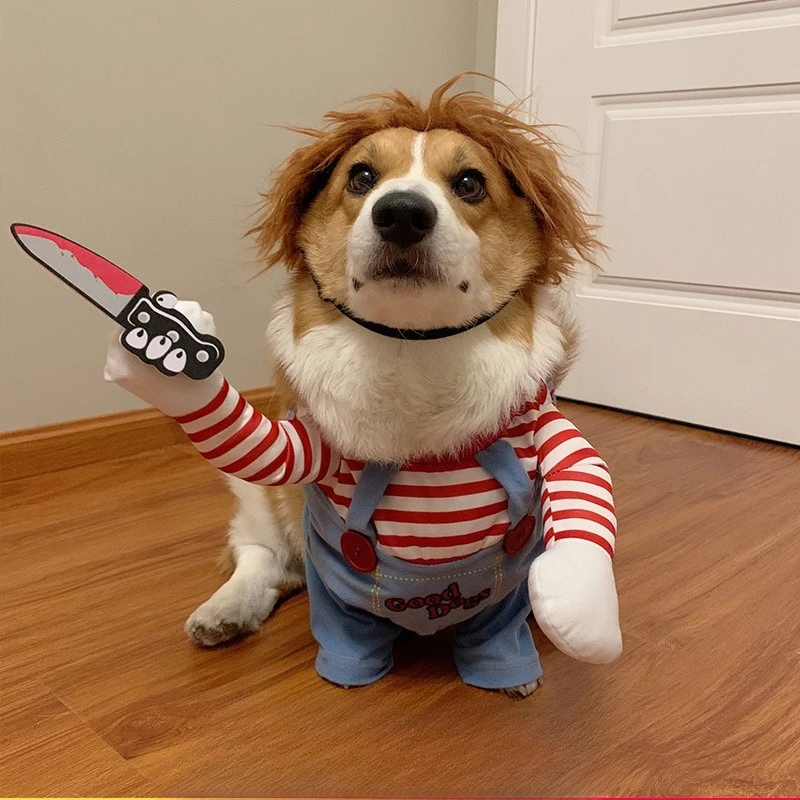 

Funny Funny Clothes Puppy Hunt Cowboy Killer Transformation Pose Teddy Pomeranian Corgi