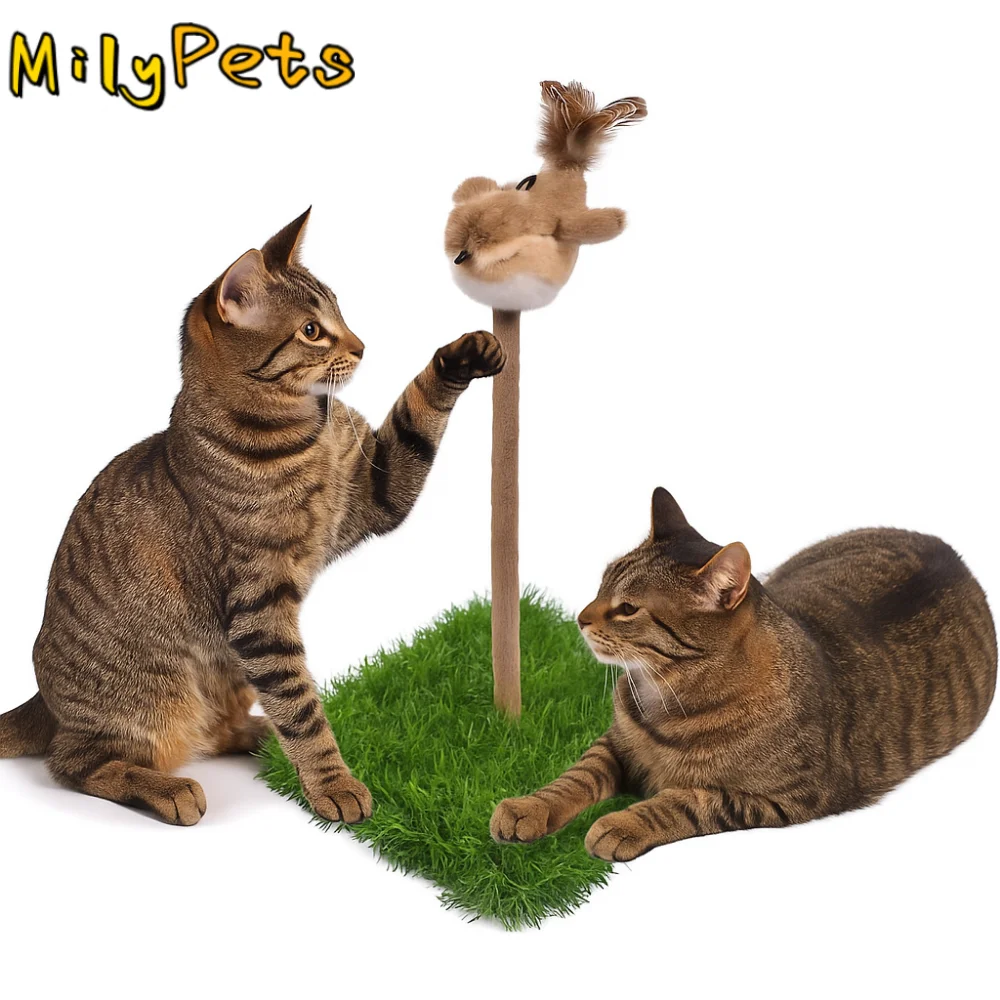 

Creative Cat Scratching Tray Bite Resistant Plush Sparrow Cat Spring Toy Self-Hilarious Durable Teasing Cat Sounds Toy