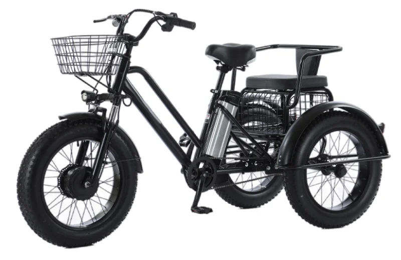 3-Rad 20-Zoll Fatbike für Erwachsene mit herausnehmbarem Akku, Elektrofahrrad 48V 500W, Elektro-Mountainbike mit Gepäckträger – Detail 4