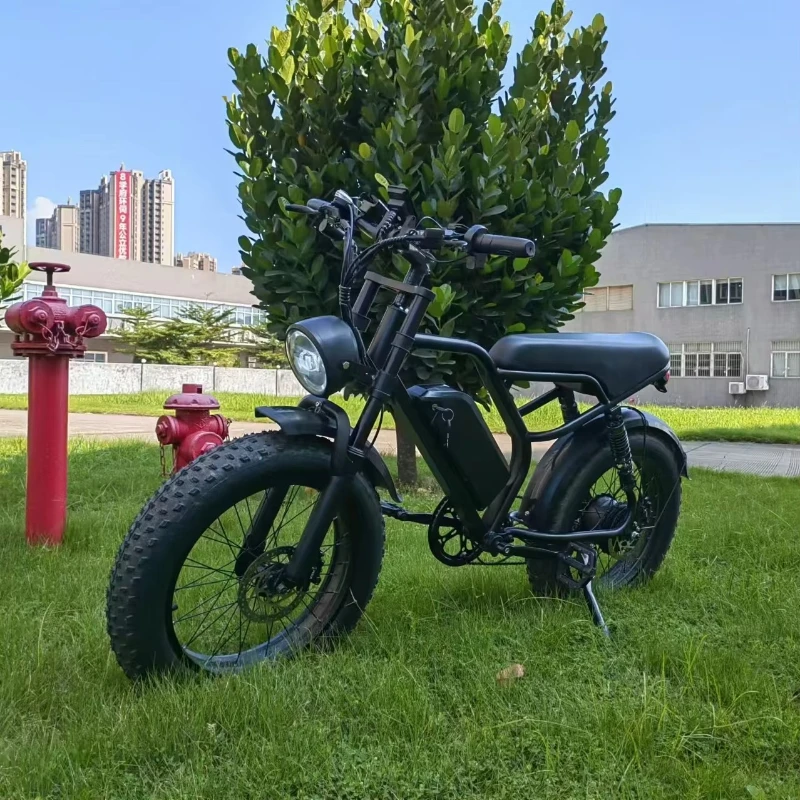 

European and American hot-selling products 1200w 48v 20ah electric bicycle long driving range 45km/h Ebike electric bicycle