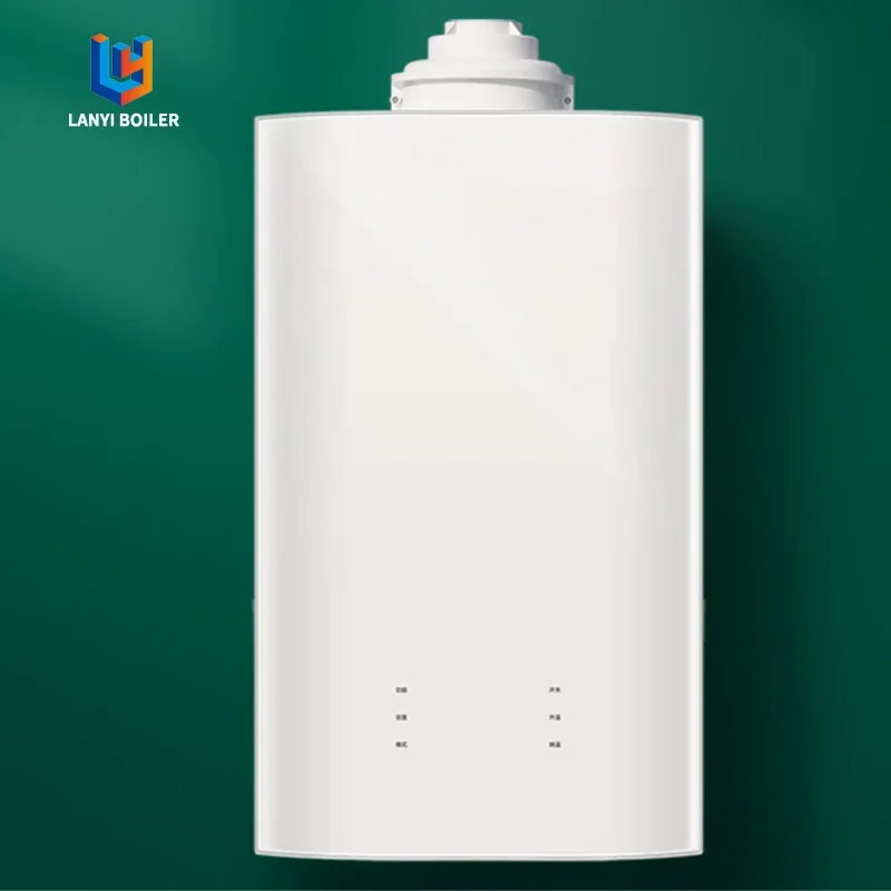 

Home Use 25KW 30KW 35KW 40KW Natural Gas Wall Hung Boiler Tankless Instant Shower Gas Water Heater