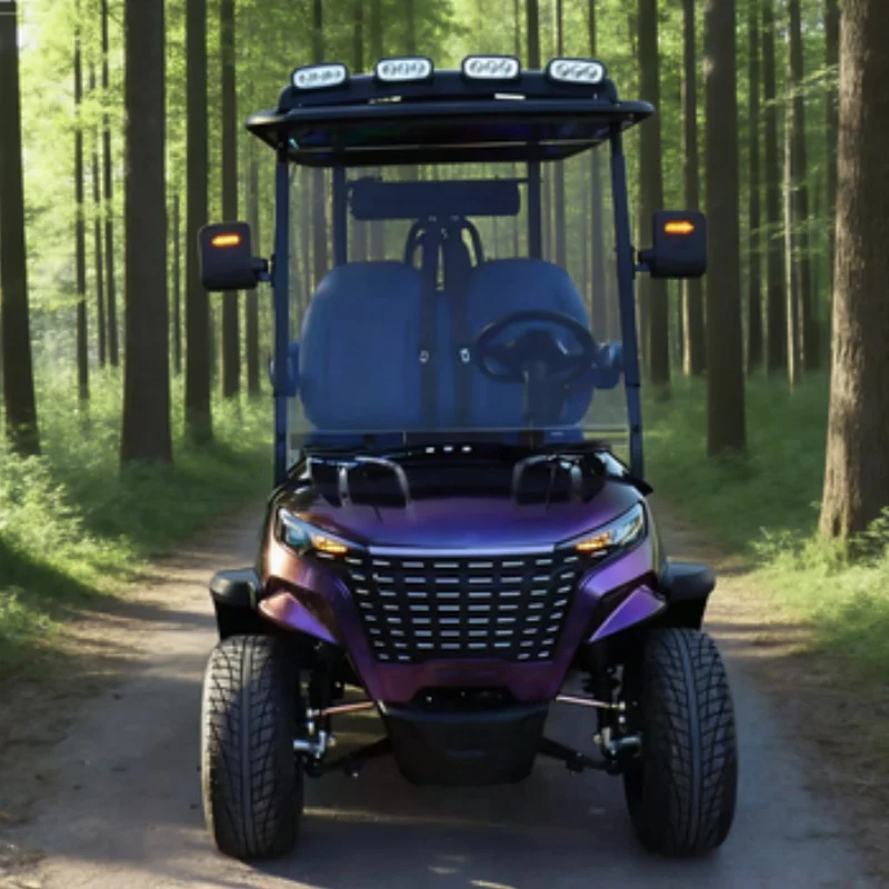 

New 72V Off-Road Vehicle Lithium Battery Electric Golf Cart Off Road Tires Seats Armrests Gear Adjustment Bluetooth Speakers