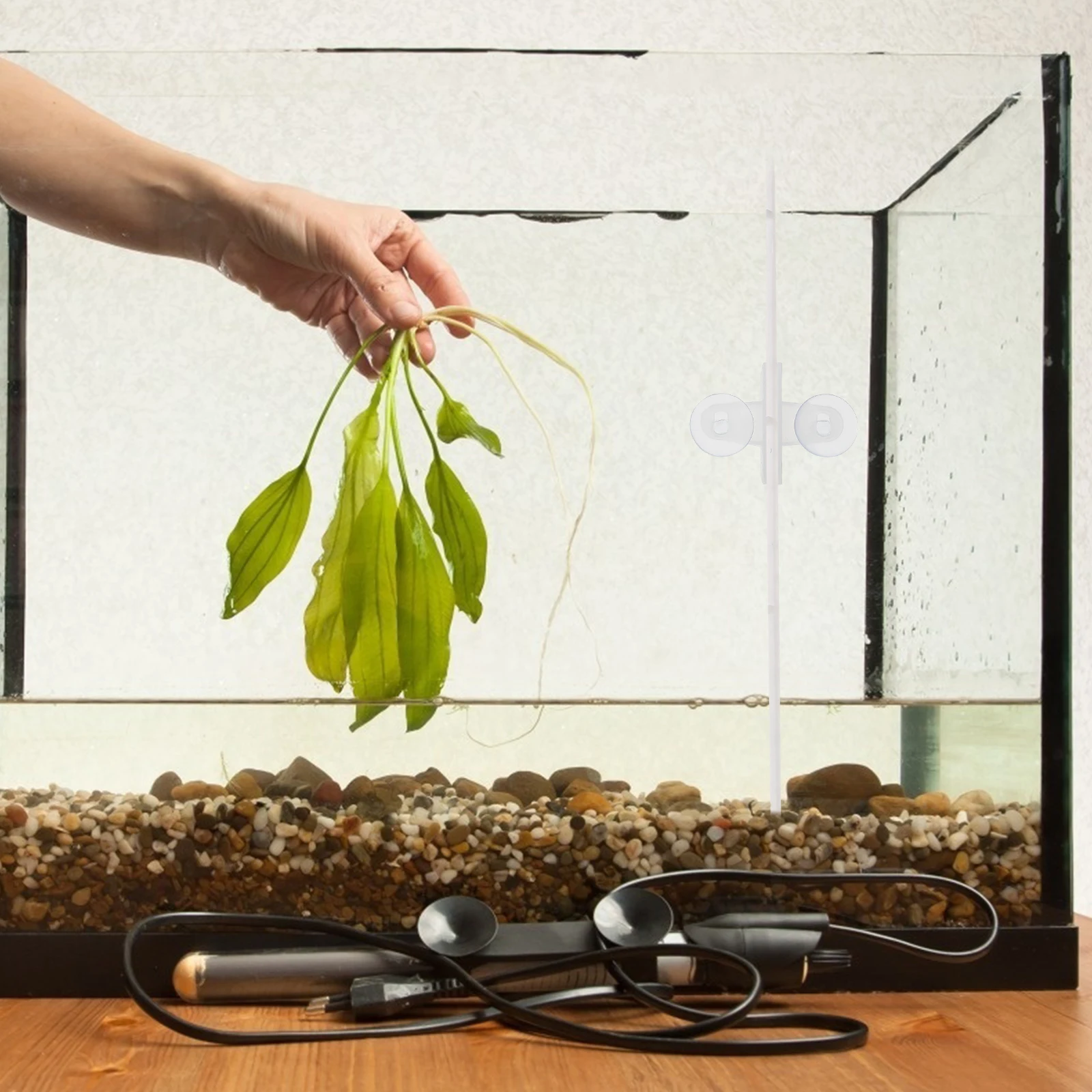 

5Pcs Fish Tank Glass Clip Aquarium Divider Suction Cups Isolation Net Clips Aquarium Supplies for Aquariums Fish Tank Glass Clip