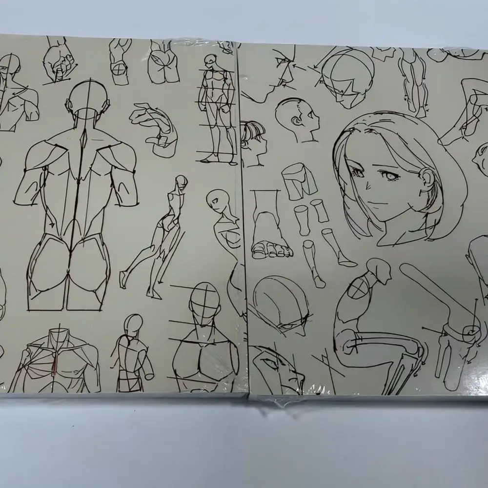 Artistic Character Sketching Guide Human Structure Anatomy Reference Book For Beginner Painters Professional Sketching Tools
