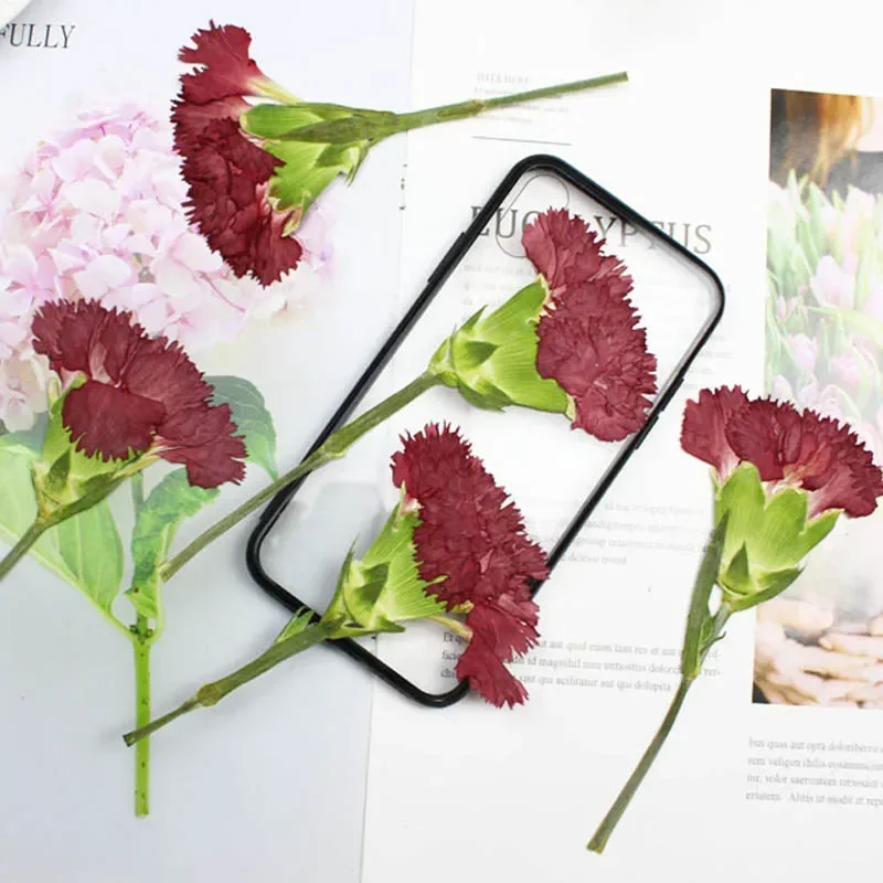 

200pcs Side Pressed Dried Red Canation Flower Stalk Plant Herbarium For Jewelry Phone Case Photo Frame Bookmark Craft DIY