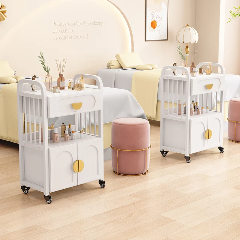 

Beauty cart Beauty salon special trolley Tattoo embroidery instrument trolley Movable storage cart Barber shop tool cart
