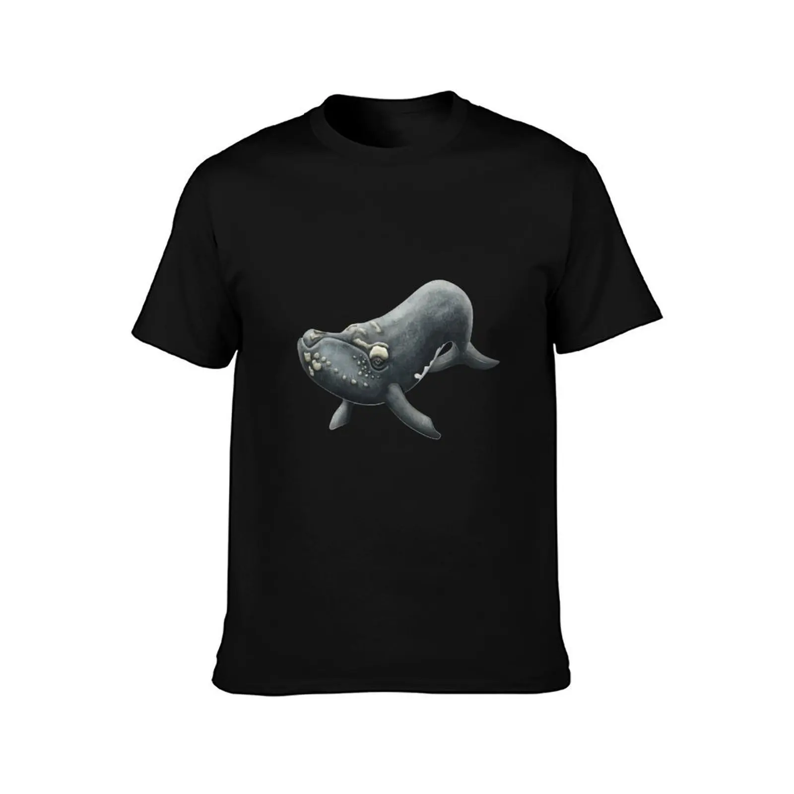 Northern Atlantic Right Whale T-Shirt, Summer Casual Cotton Tee, Oversized Streetwear Tops, Vintage Graphic Print, 100% Cotton