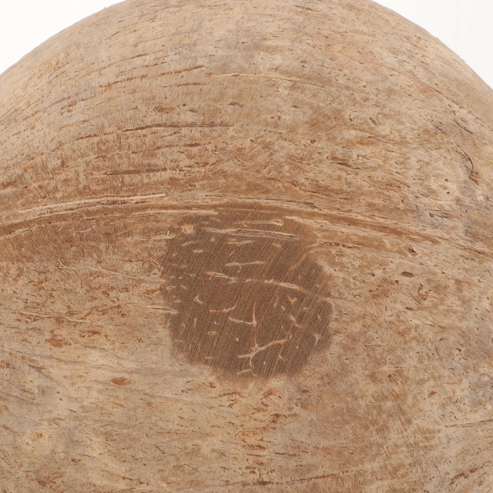 Supporto naturale per tazza di cera di conchiglia di cocco Contenitori di stoccaggio profumati fai-da-te durevoli Barattoli artigianali Supporto per conchiglia di cocco