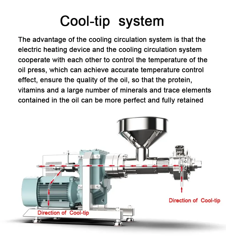 Cold Press Oil Machine Black Cumin Seed Black Seed Oil Screw Oil Presses for all seeds and Coconut