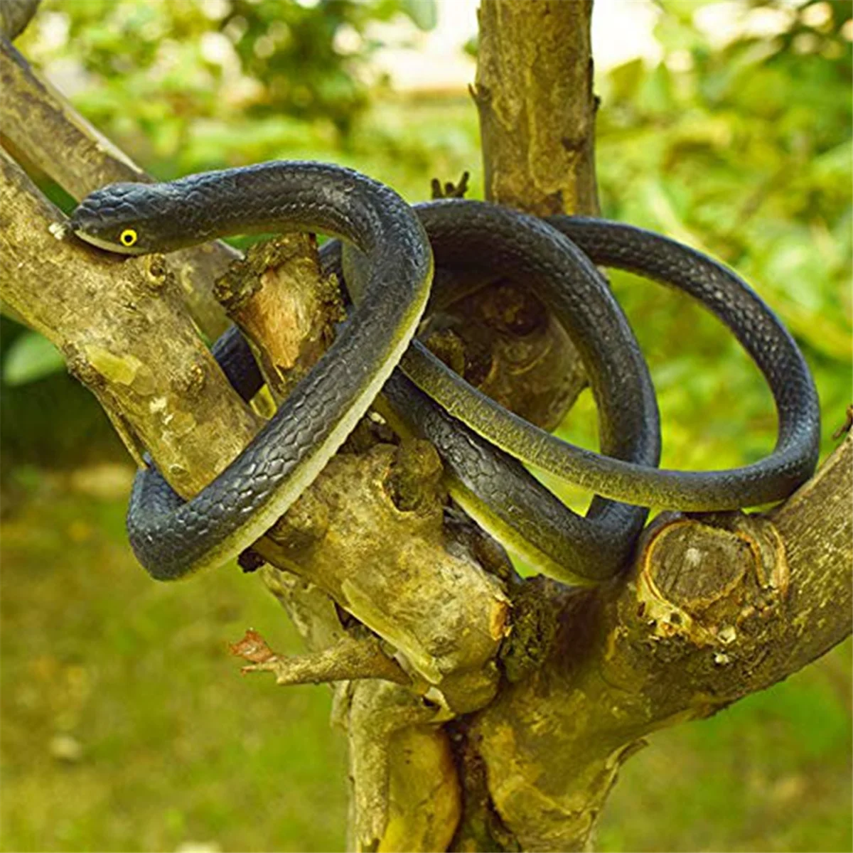 X55A-bague de serpent avec pince à ficelle-bague de serpent à clipser, farce de serpent sur une corde, farce de serpent de Golf avec ficelle et