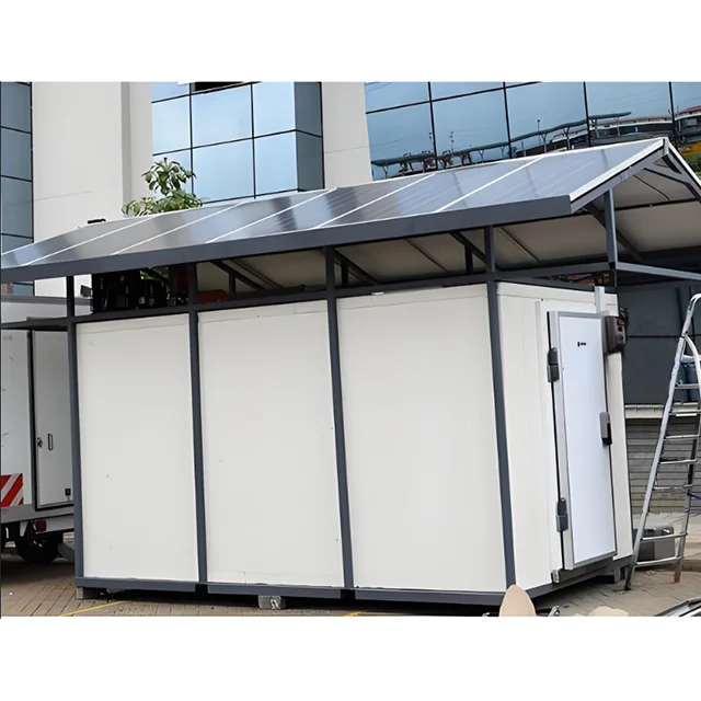 Prezzo di fabbrica Contenitore mobile da 20 piedi Sala di stoccaggio freddo a energia solare per negozio di ghiaccio di carne di pesce e frutta e verdura