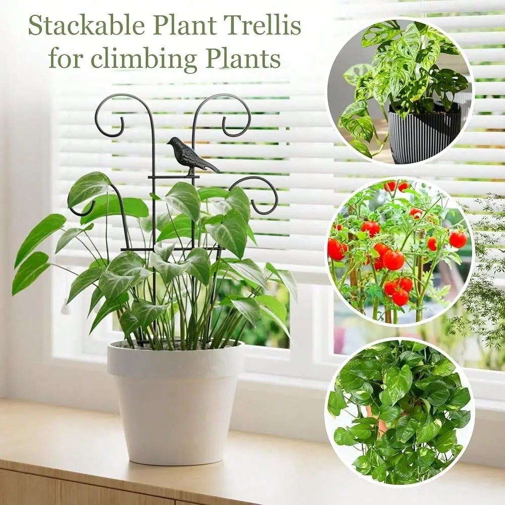 

Trellis For Climbing Plants Indoor, 3 Pack Metal Garden Trellis For Potted Plants, Rustproof, Sturdy Climbing Plant Support For