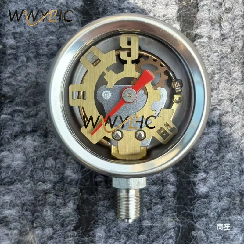Stainless Steel Hollow Pressure Gauge, Side Mount 1/8