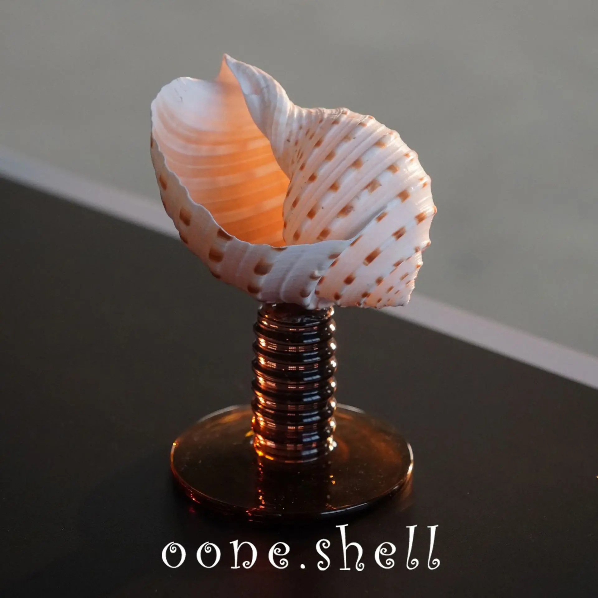 Natural Conch Shell Goblet - Unique Sea Snail Wine Glass for Cocktails & Wedding Toasts, Handmade Ocean Decor Gift