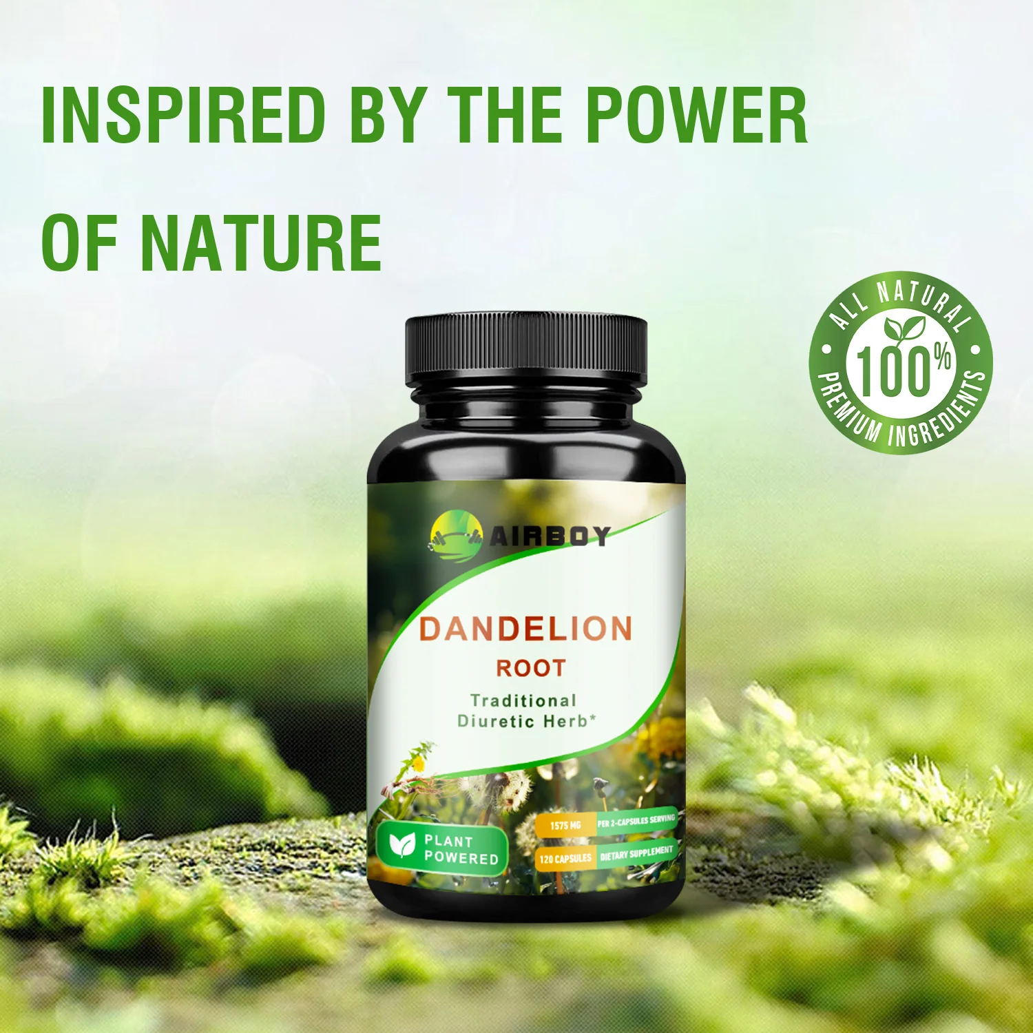 كبسولات جذور الهندباء - إزالة السموم من الكبد وتنظيفها، تعزز المناعة - 120 كبسولة