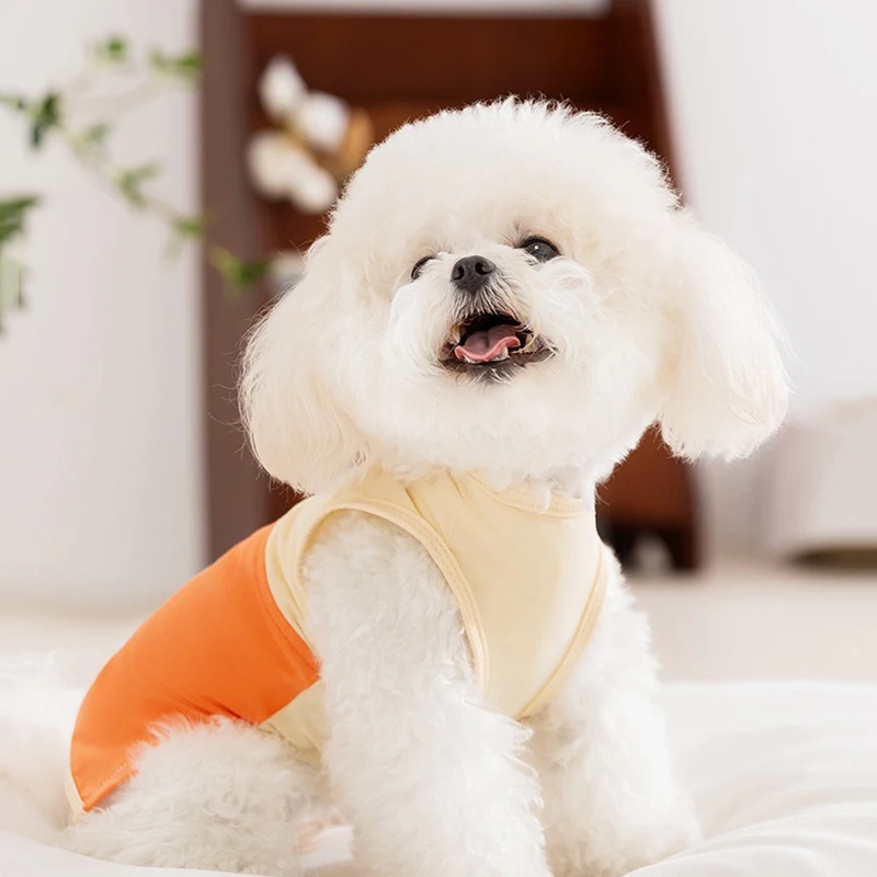 

Spring and Summer Dog Clothes Breathable Simple Color Clashing Teddy Vest Small and Medium Dogs Soft Pullover Pet Casual T-Shirt