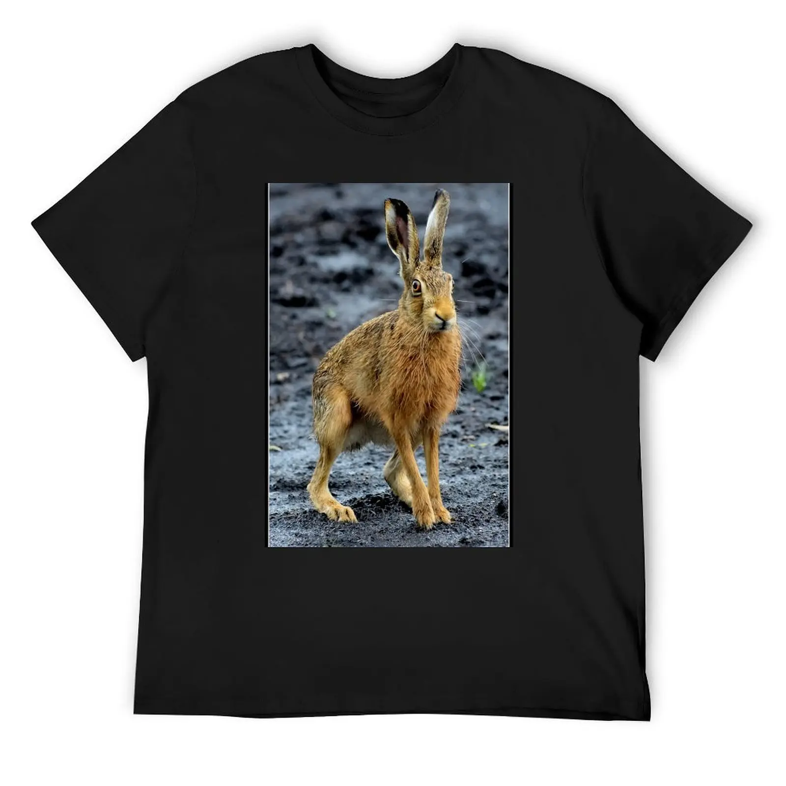 

Hare photography print art nature T-Shirt shirts graphic valentines boutique clothes graphics men clothes