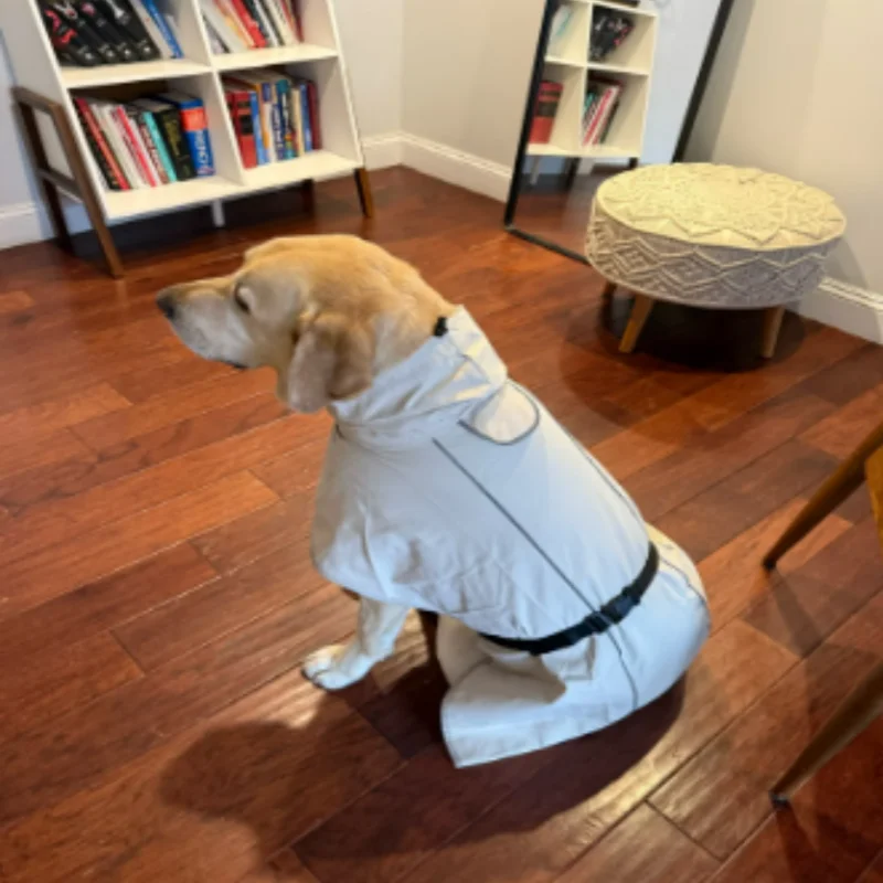 

Outdoor Pet Waterproof Reflective Adjustable Dog Raincoat Cape for Labrador Golden Retriever Corgi Dog Clothes