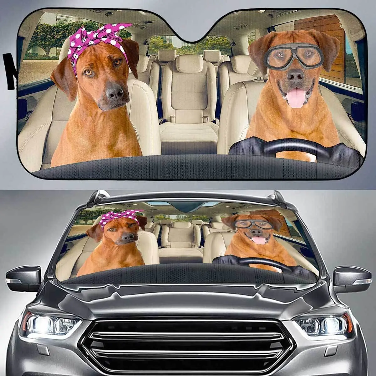 Rhodesian Ridgeback Couple Driving Left Handed Car Sunshade Rhodesian Ridgeback Lover's Window Shade