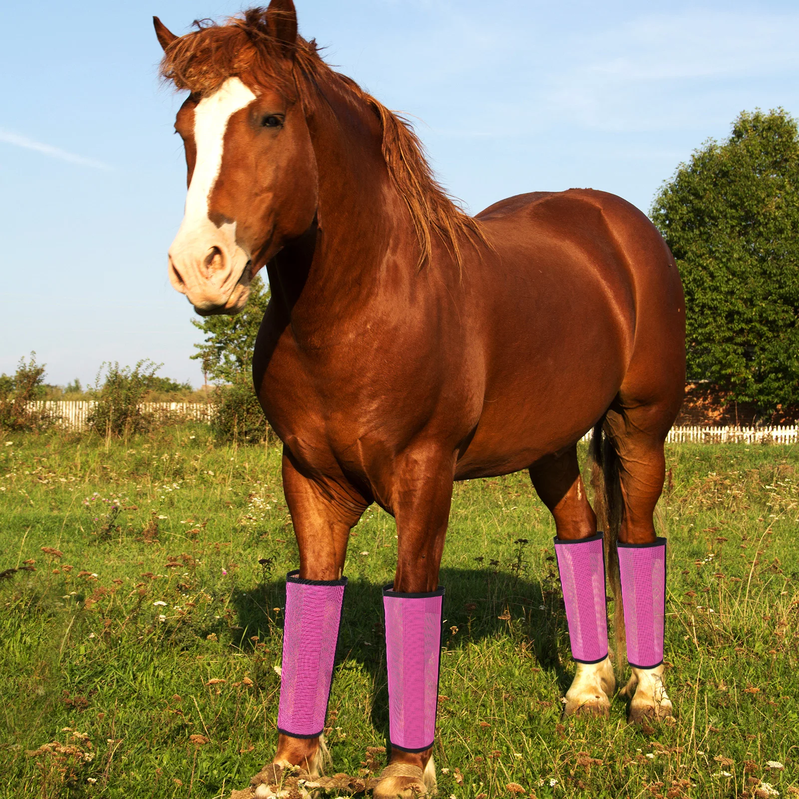 مجموعة من 4 غطاء حماية لقدم الحصان، أغطية ساق الحصان الواقية، أحذية الحصان الشبكية القابلة للتنفس لمنع الذباب ولدغة البعوض #3