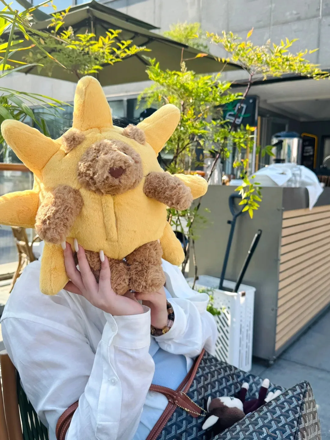 

For Jelly Cat New Limited Edition Bartholomew Bear Sun Plush Doll With Gift Home Decoration Holiday Gift Interactive Toy