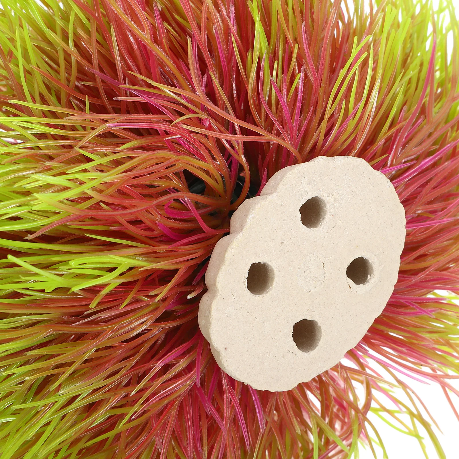 

Fake Aquatic Plant For Fish Tank High Simulation Artificial Water Grass Realistic Aquarium Plants Decor Small Fish Tank