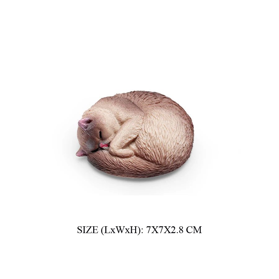 Cat -41