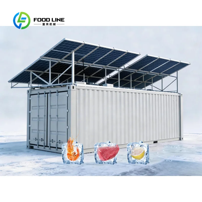 Customized 20ft Solar Reefer Container Complete Turnkey Solar Freezer System Solar Cold Room for Commercial Meat Storage