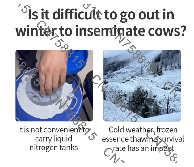 Artificial insemination equipment, constant temperature portable thermal insulation bag jacket improver for pigs and cattle