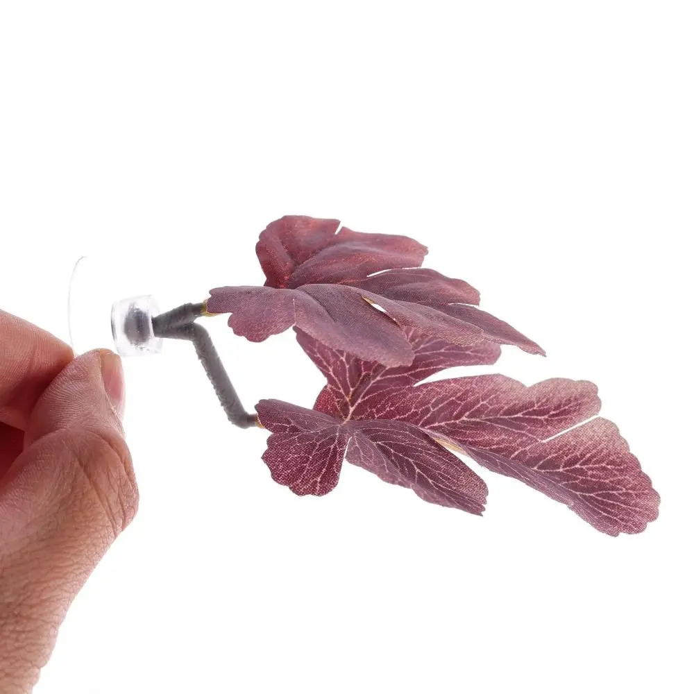 Plastic Betta Fish …