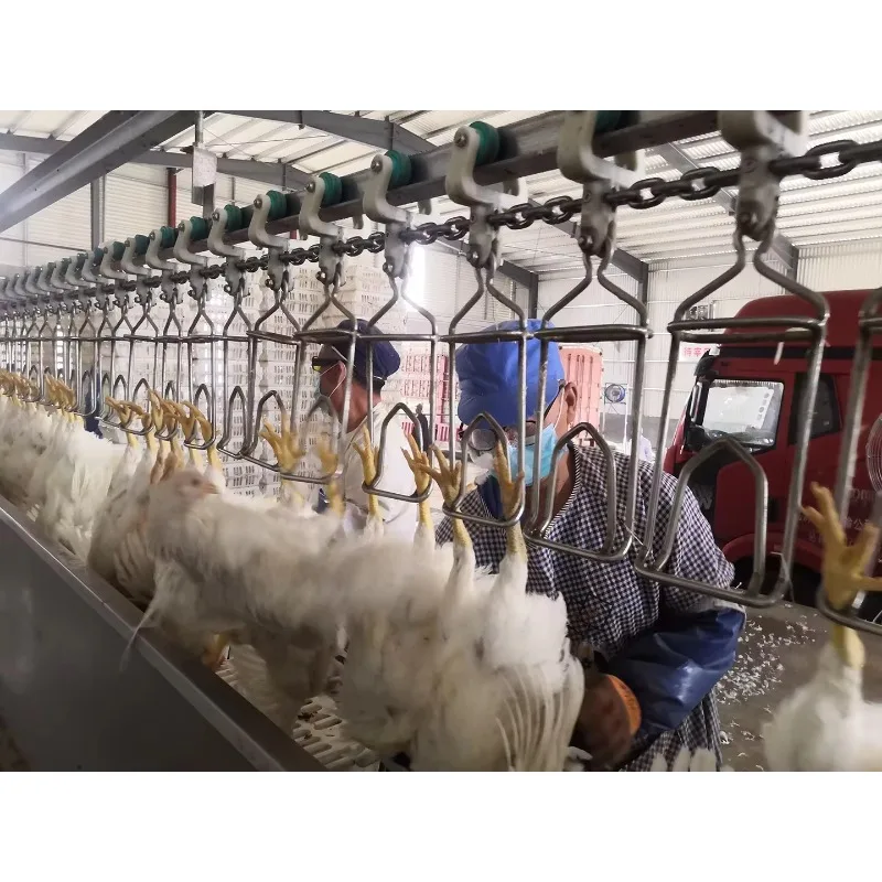 Compacte container Slachthuis Mobiele kip slachtmachine Directe fabrikant