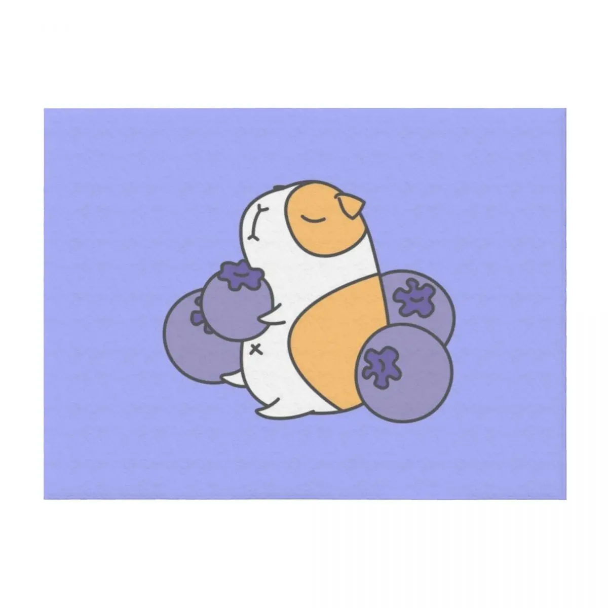 

Guinea pig and blueberry Throw Blanket Bed Shaggy Summer Hair Blankets