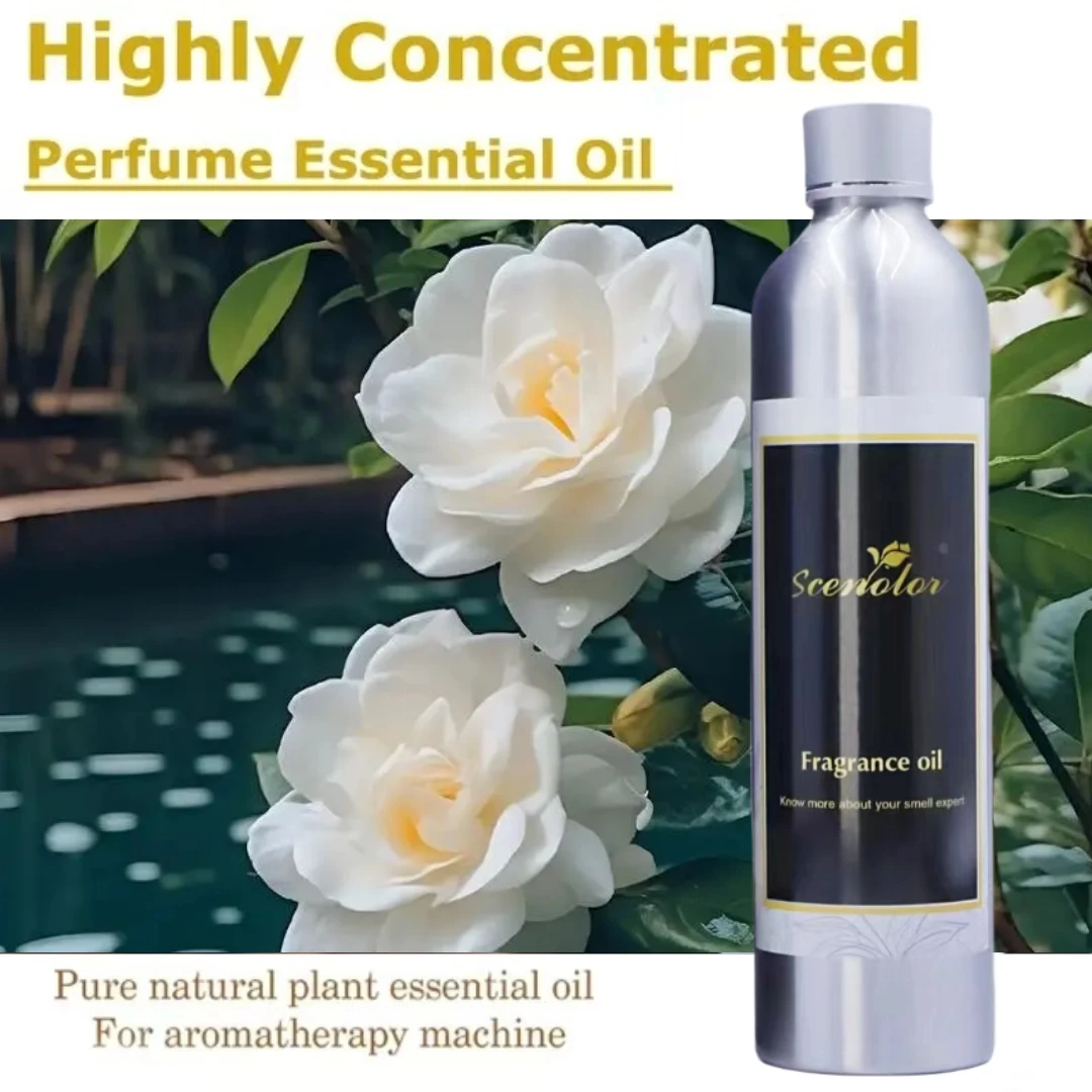 300Ml Natuurlijke Plant Extrat Parfum Voor Diffuser Paris Hilton Hotel Etherische Olie Hoge Concentratie Aromatische Oase Luchtverfrisser