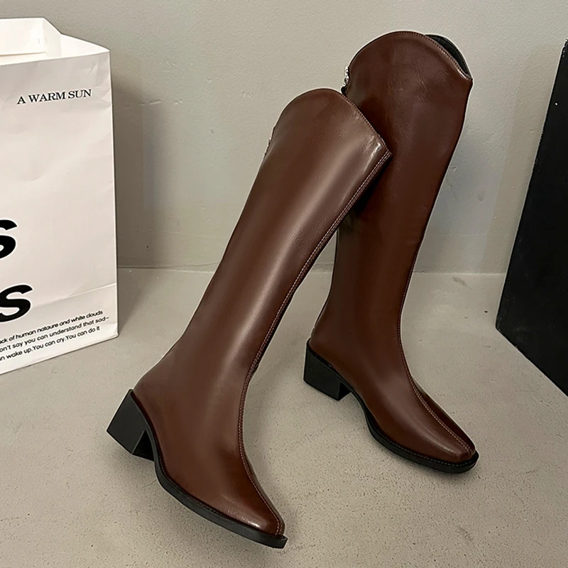 

High Boots for Women High Heels Fashion Shoes Chunky Dress Winter Boots New 2025 Designer Luxury Pumps Femme Goth Chelsea Botas