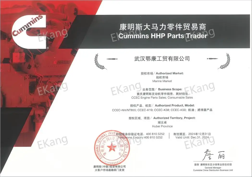 Genuine Cummins Diesel Engine Turbocharger HX35W Cummins 6BTAA5.9 Diesel Engine New Engine Parts Turbo 3592526 3590254 3593676