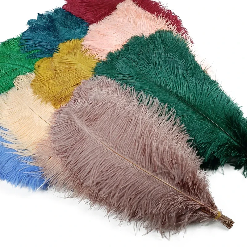 10Pcs/Lot New Colored Ostrich Feathers for Crafts White Black Feather Decor Table Centerpieces Jewelry Handicrafts Decoration