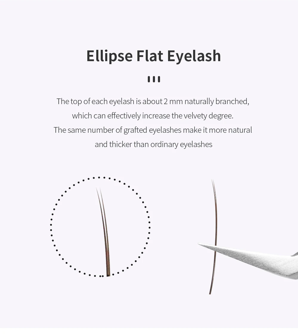 GLAMLASH Braune Ellipse, flache Wimpernverlängerung, matte künstliche Wimpern, geteilte Spitzen, ellipsenförmige Make-up-Tools – Detail 3
