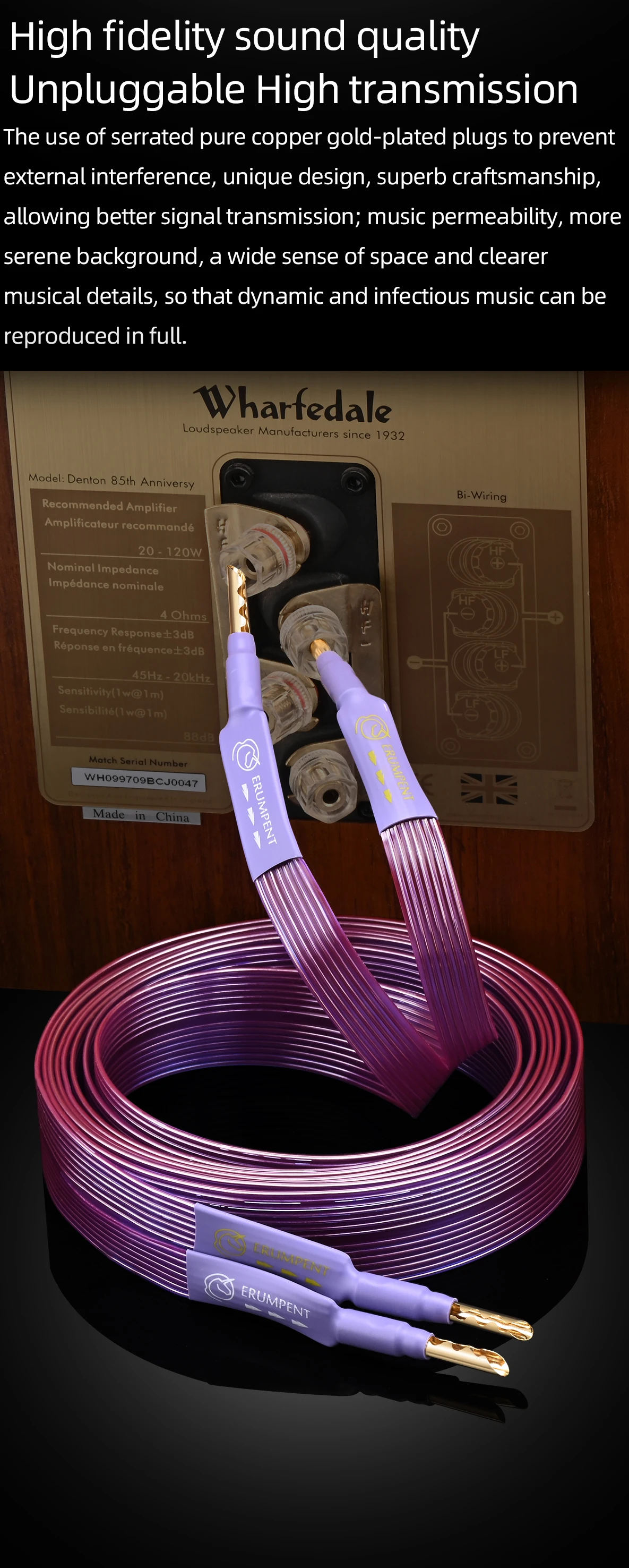HiFi-OCC-Lautsprecherkabel, Hi-End-Flachriemen aus reinem Kupfer mit gezahntem, massivem, vergoldetem Bananen-Y-Steckerkabel für Lautsprecherverstärker – Detail 4