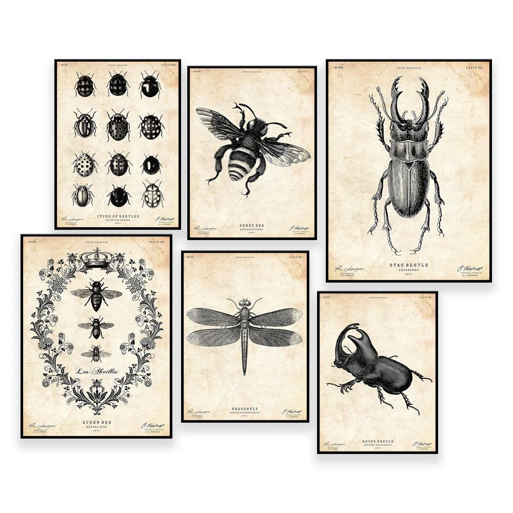 Insect art, Bee ,Stag beetle,Insect,Stag beetle ,Beetles print, Insect lover gifts, Bugs art print, Natural history decor