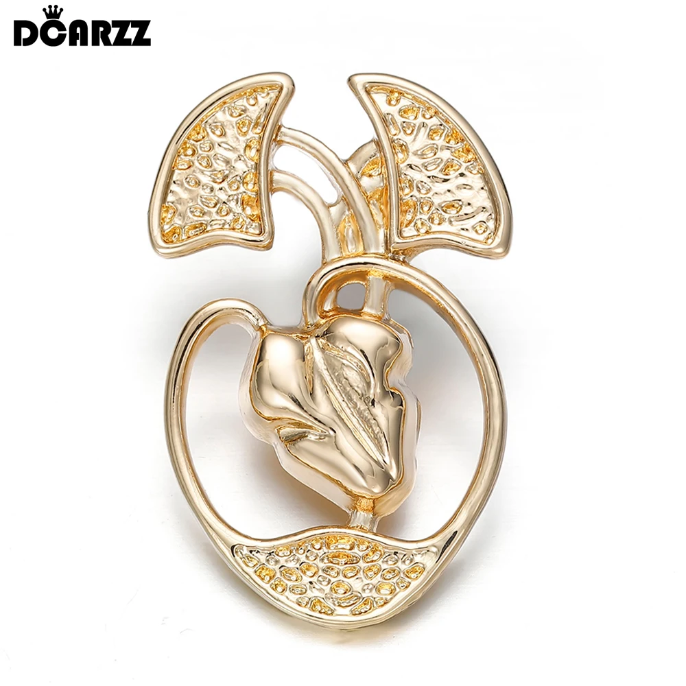 

DCARZZ Medical Liver Heart Lungs Brooch Pin Anatomy Internal Medicine Jewelry Backpack Lapel Badge for Doctor Nurse Gifts