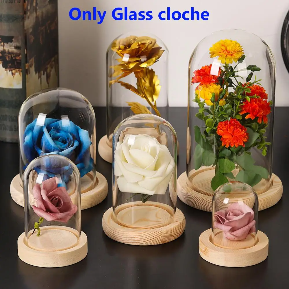 Glass Cloche Jar Display Stand Cover with Wooden Base Terrarium Bottle Acrylic Dust Cover Display Box Immortal Flower Box