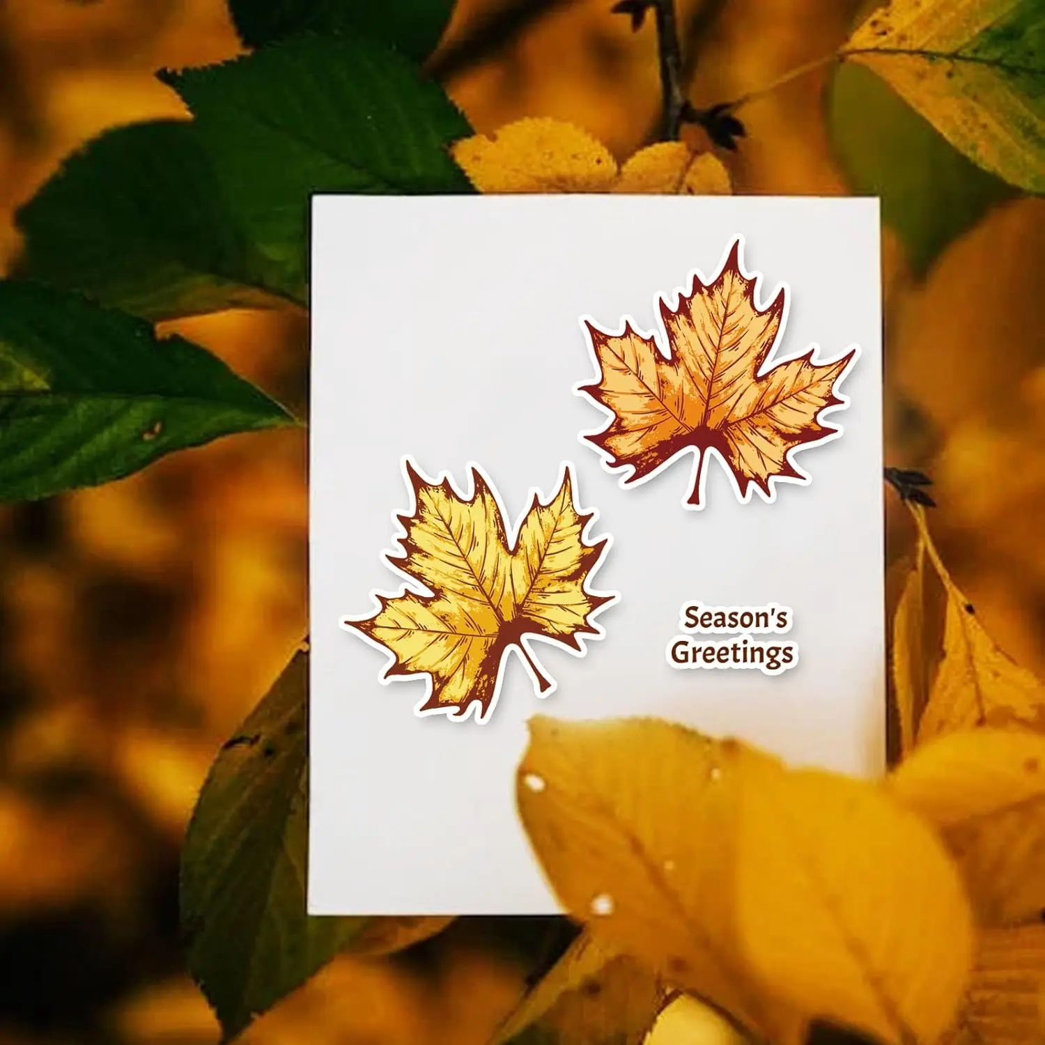 Plant Leaves Silicone Clear Stamp, Autumn Maple Leaf, em camadas Folhas Selos para DIY Scrapbooking, Revistas decorativas