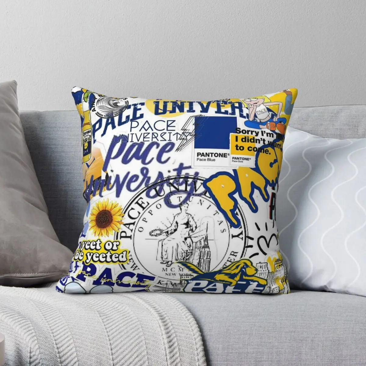 

Pace University Collage Square Pillowcase Polyester Linen Velvet Printed Zip Decor Throw Pillow Case Home Cushion Cover 45x45