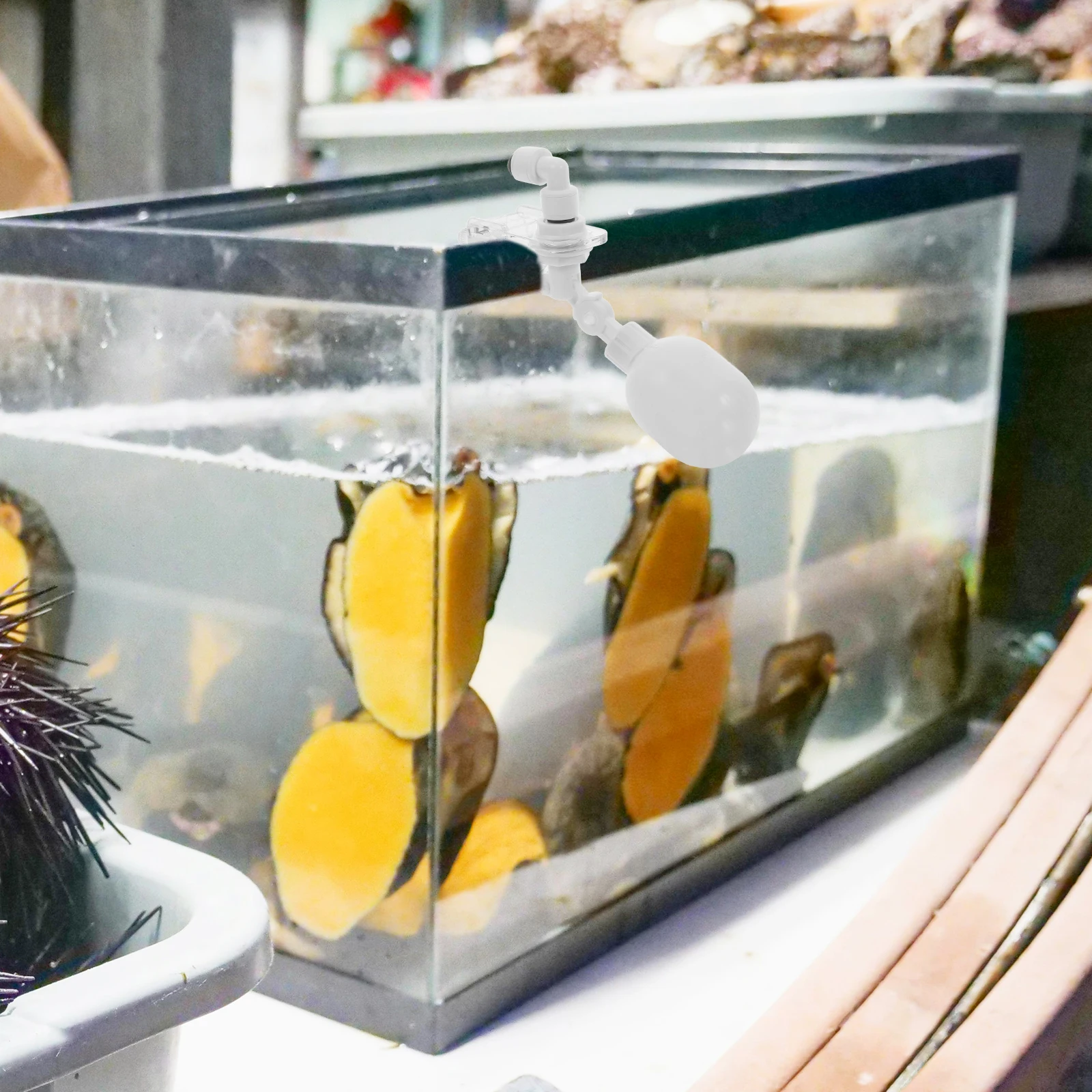 

Aquarium Automatic Level Controller Durable Fish Tank Float 15Cm Adjustable Easy Installation Water Replenishment Floating