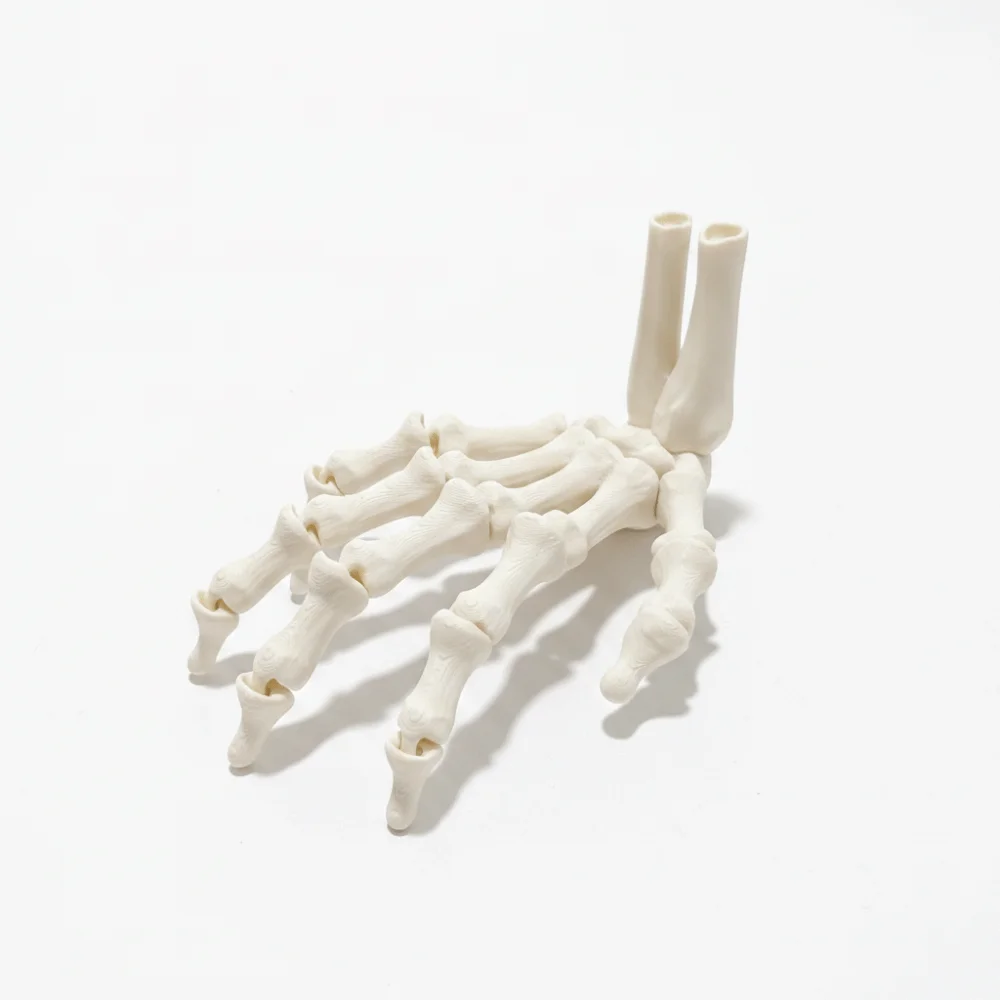 3D Printed Skeleton Hand Realistic Design PLA Material Hand Bone Ornaments Flexible Joint Creative Zombie Festival Props