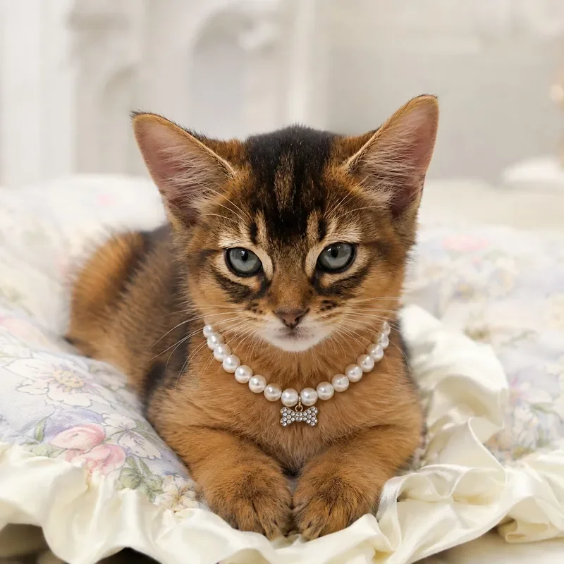 Cross-border bone modeling pearl pet necklace cat and dog universal ins wind small dog dog and cat jewelry collar worker