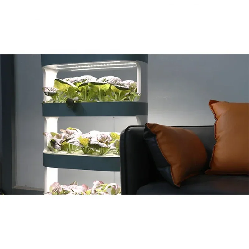 

Hot sales 2023 3 tier new Household hydroponic system for growing vegetables and home decoration